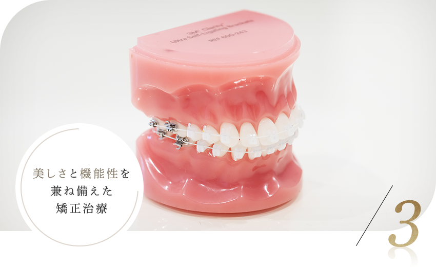すべての患者様にナノホワイトワイヤーを使用した目立ちにくく美しい矯正治療