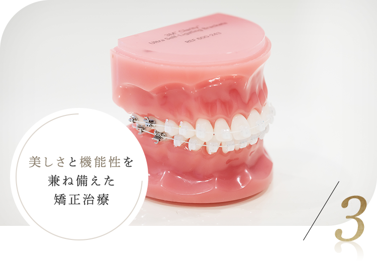 すべての患者様にナノホワイトワイヤーを使用した目立ちにくく美しい矯正治療