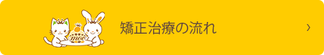 矯正治療の流れ